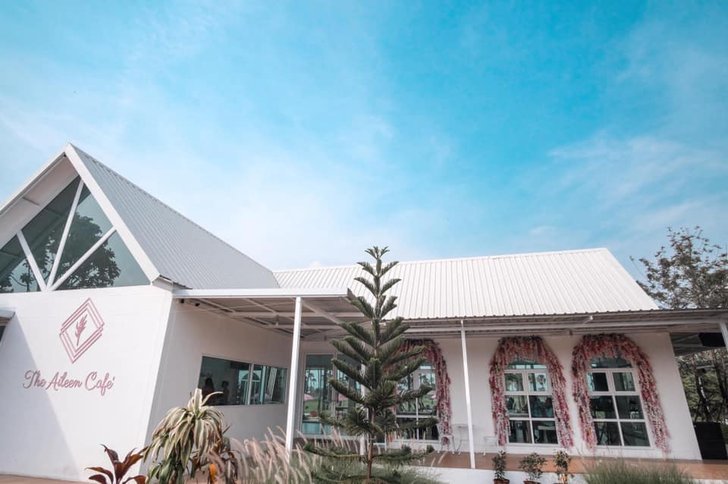 83746576_126327728887691_8136