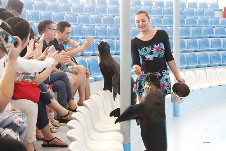 pattaya-dolphinarium3-768x512