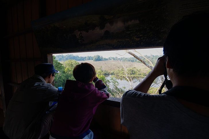 -5-olw071dz3jpdkw9yy1waqlox84