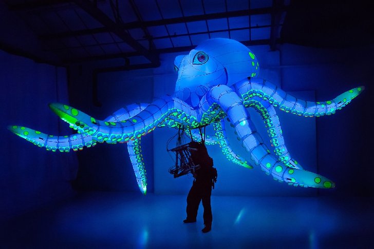4.ochotheoctopusbytimda