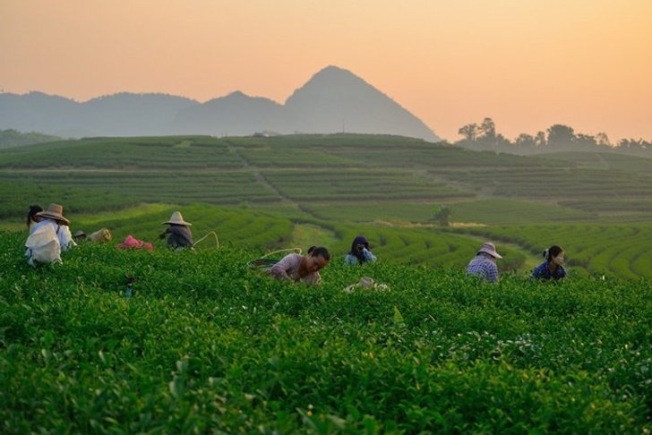 ahr0chm6ly9zlmlzyw5vb2suy29tl_1