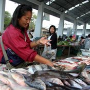 ตลาดเช้า อ.โขงเจียม