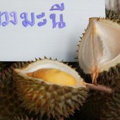 งานวันระกำหวาน ผลไม้และของดีเมืองตราด