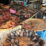ตลาดกลางเพื่อการเกษตร