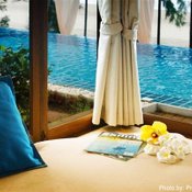 The Bora Bora - Bed And Dream