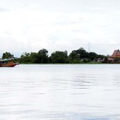 ร้านรวยกุ้งเผา (RUAI KUNG PHAO RESTAURANT)