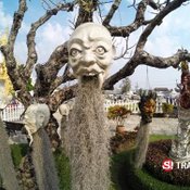 วัดร่องขุ่น เชียงราย