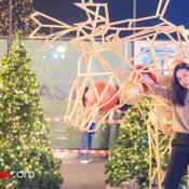 wOrld Of happiness 2562 เทศกาลประดับไฟคริสต์มาสสุดอลังการหน้าลาน centralwOrld