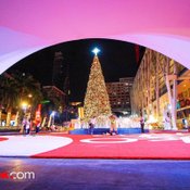 wOrld Of happiness 2562 เทศกาลประดับไฟคริสต์มาสสุดอลังการหน้าลาน centralwOrld