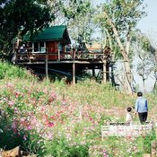 Mountain Coffee จิบกาแฟบนเขา ท่ามกลางทุ่งดอกคอสมอส จุดเช็กอินแห่งใหม่สระบุรี