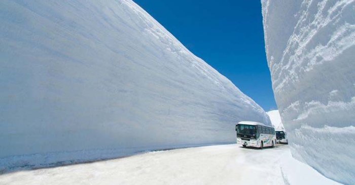 อัปเดต กำแพงหิมะ ญี่ปุ่น 2021 Tateyama-Kurobe Alpine Route ต้องไปสักครั้ง!