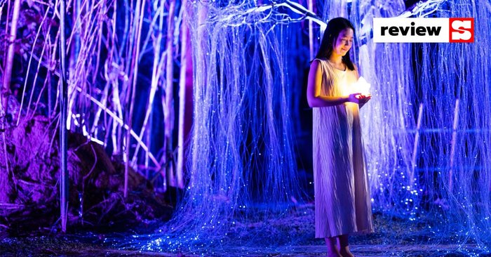 “Forest of Illumination at Kirimaya” เทศกาลประดับไฟสุดตระการตา กลางป่าเขาใหญ่