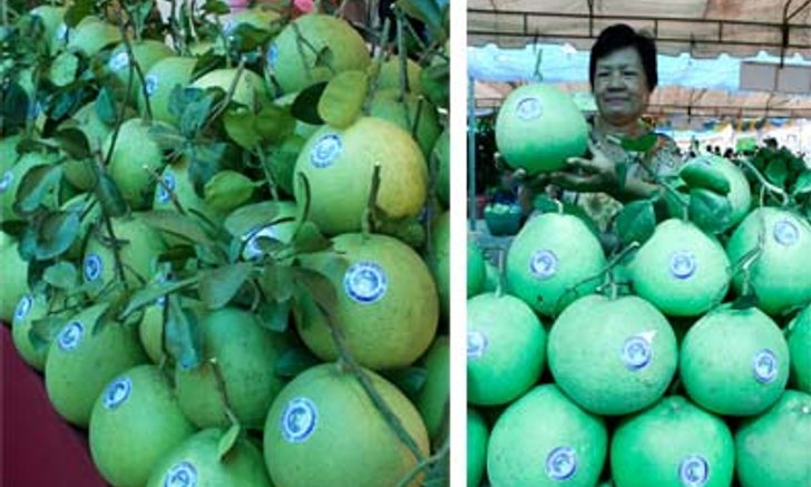 เทศกาลส้มโอขาวใหญ่สมุทรสงคราม