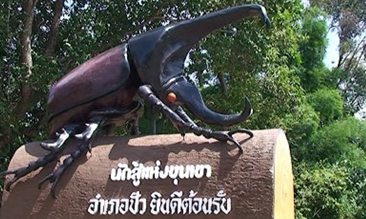 เทศกาลโลกของกว่าง นักสู้แห่งขุนเขา ประจำปี 2554