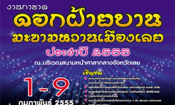 งานกาชาดดอกฝ้ายบาน มะขามหวานเมืองเลยปี 2555
