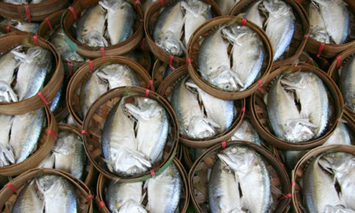 เทศกาลปลาทูอร่อยที่ท่าฉลอมครั้งที่ 4