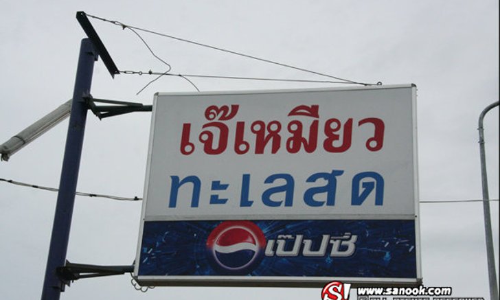 เจ๊เหมียว ทะเลสด ร้านนี้รับประกันเรื่องความสดใหม่