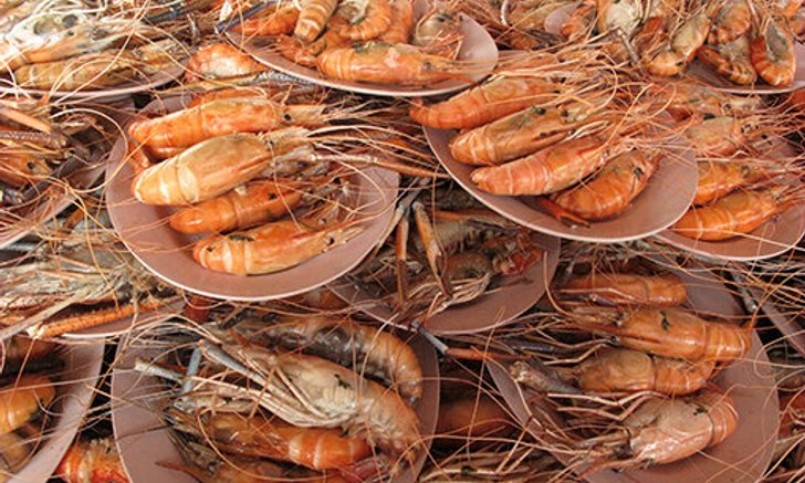 เทศกาลกินกุ้ง กินปลา เจ้าพระยาชัยนาท