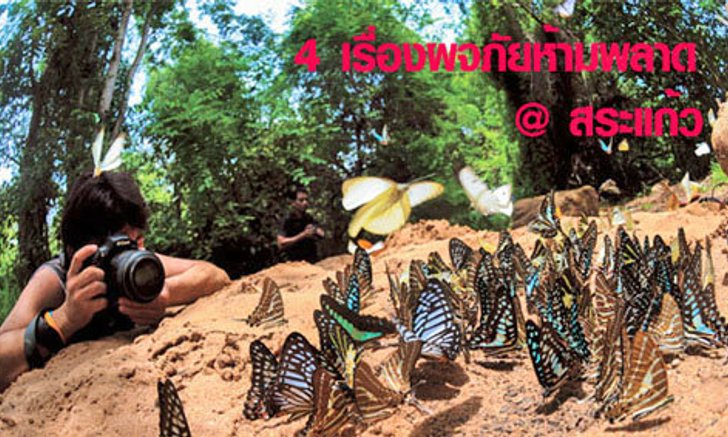 4 เรื่องผจญภัยห้ามพลาด @ สระแก้ว