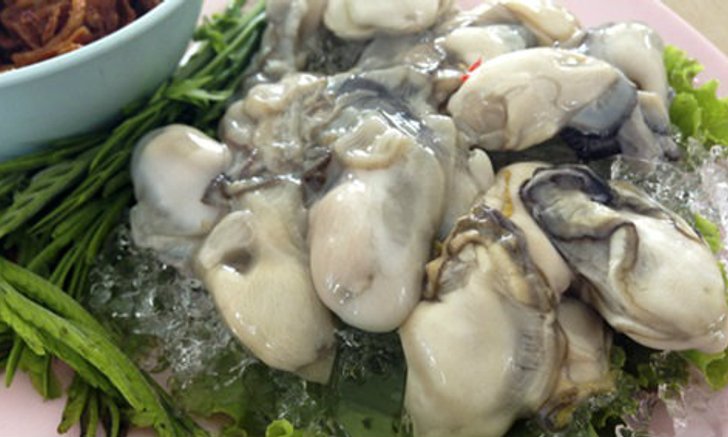 เทศกาลกินหอย ดูนก ตกหมึก ประจำปี 2556