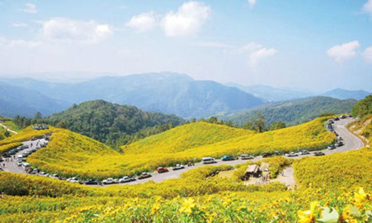 5 เส้นทางขับรถเที่ยวที่สวยที่สุดในเมืองไทย