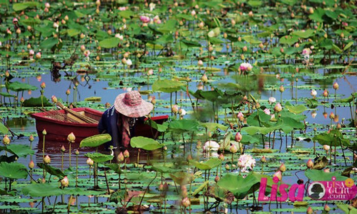 พุทธมณฑล…นั่งรถเดี๋ยวเดียวก็เที่ยวเพลิน