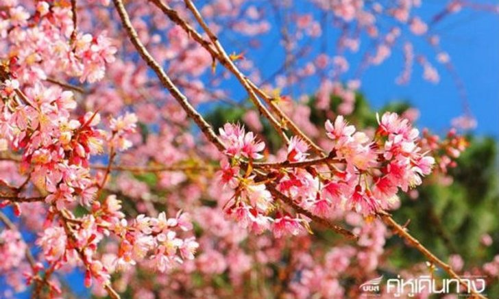 10 อันดับเมืองน่าเที่ยวสวยที่สุดในเมืองไทย
