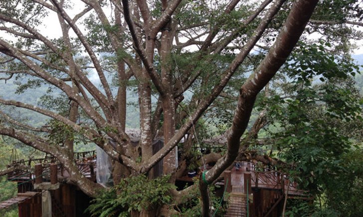 ท่องเที่ยวสไตล์พิศาลชวนสัมผัสบรรยากาศร้านกาแฟสุดชิล 3 แบบ 3 สไตล์