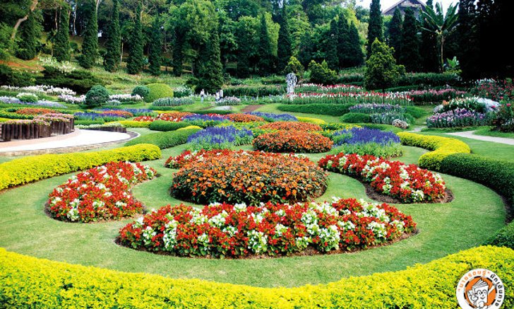 หนาวได้ใจ! 5 สวิตเซอร์แลนด์เมืองไทย สวยน่าไปไม่แพ้เมืองนอก!