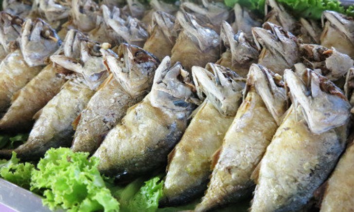 เทศกาลกินปลาทูและของดีเมืองแม่กลอง ครั้งที่ 17 ตอน “กินอย่างมีวัฒนธรรม”