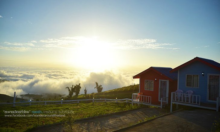 แหกขี้ตาแต่เช้า เก็บภาพ "ทะเลหมอก" บนภูทับเบิก สถานที่เสมือนเมืองบนสวรรค์