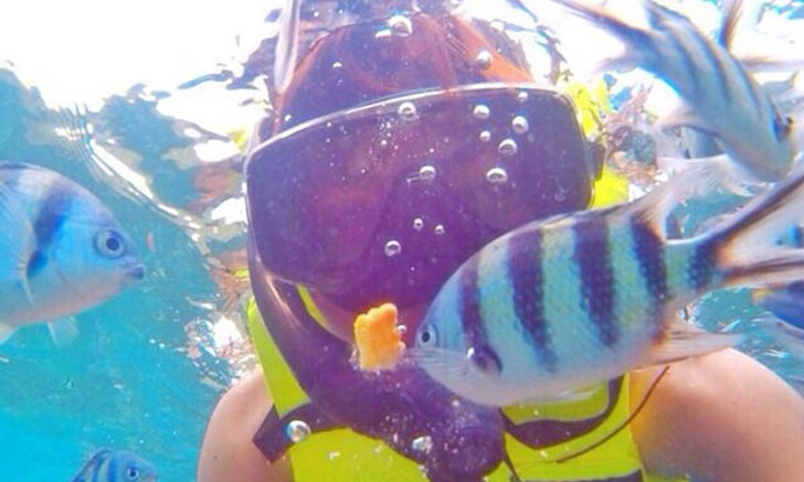 หาความสนุกใส่ชีวิต สะพายเป้ Backpack ไป "เกาะเต่า" ทั้งถูกและคุ้ม