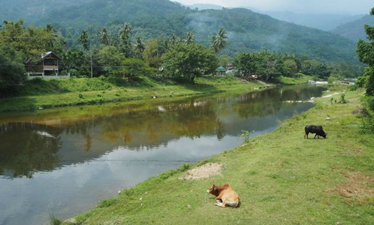 ยลเสน่ห์ "คีรีวง" หมู่บ้านกลางหุบเขา จังหวัดนครศรีธรรมราช