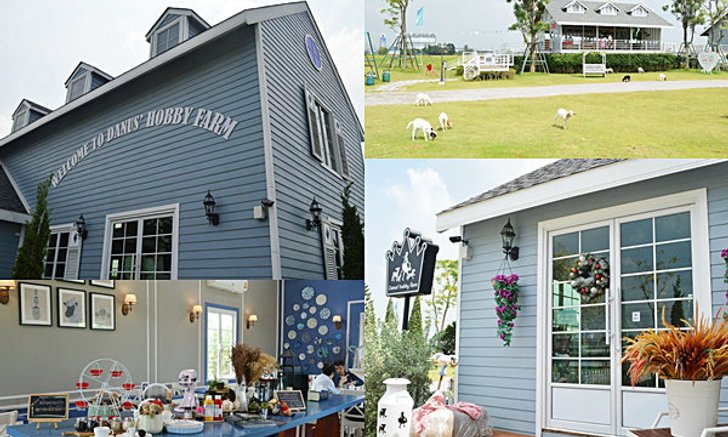 Danus' hobby farm ฟาร์มแกะ..สีฟ้า..สดใส สไตล์วินเทจ @ เพชรบุรี
