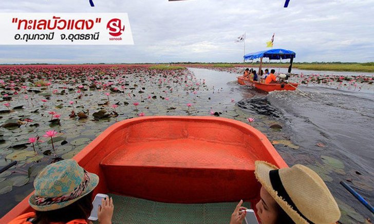 สุดยอด..กุมภวาปี 'ทะเลบัวแดง' Unseen แห่งภาคอีสาน
