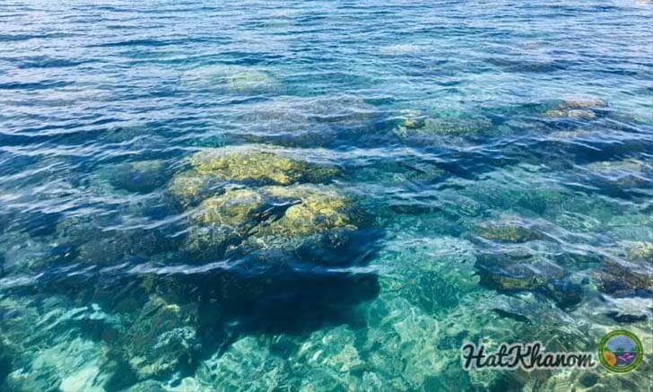 เปิดภาพแนวปะการังใต้ทะเลหาดขนอม-หมู่เกาะทะเลใต้ ในวันที่ไร้นักท่องเที่ยว