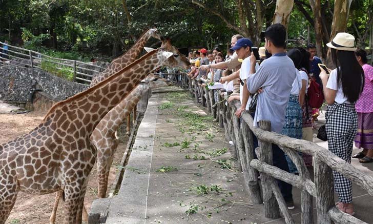 สวนสัตว์เปิดเขาเขียวประกาศปิด! ป้องกันโควิด-19 ระบาด