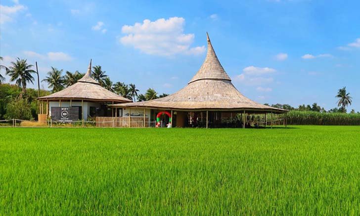 ชะตาธรรมชาติ คาเฟ่กลางทุ่งนานครปฐม กลับมาเปิดร้านใหม่ ใส่ใจ Social Distancing