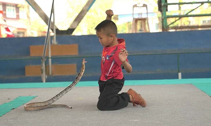 หมู่บ้านงูจงอางขอนแก่น ประสบปัญหาหนักเลิกเลี้ยงงูกว่าครึ่ง