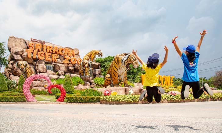 ยื้อไม่ไหว! "สวนเสือศรีราชา" ประกาศปิดกิจการถาวร