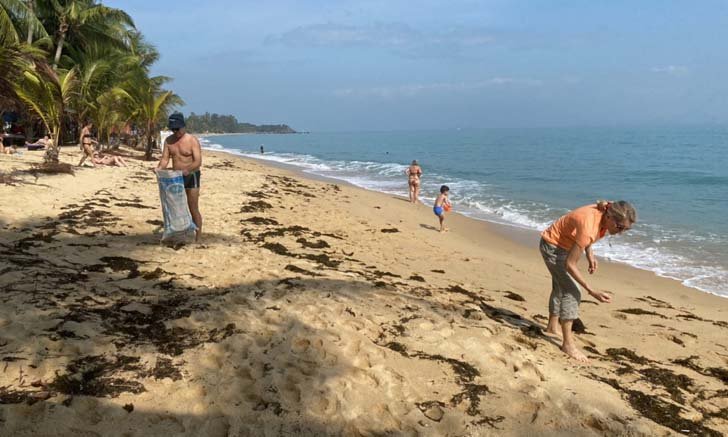 เปิดภาพประทับใจ นทท. ต่างชาติออกมาช่วยกันเก็บขยะบนชายหาดเกาะสมุย