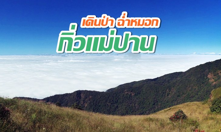 เดินป่า ฉ่ำหมอก ที่ “กิ่วแม่ปาน” สถานที่ยอดฮิต ที่ใครๆ ก็ต้องรู้จัก
