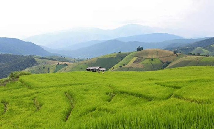 พาชมวิวบ้านป่าบงเปียง นาขั้นบันไดที่สวยที่สุดในประเทศ!!