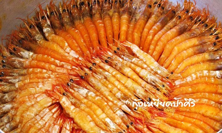 เคยทานกันไหม? "กุ้งเหยียด" ของดีจากบ้านสาขลา จังหวัดสมุทรปราการ!!