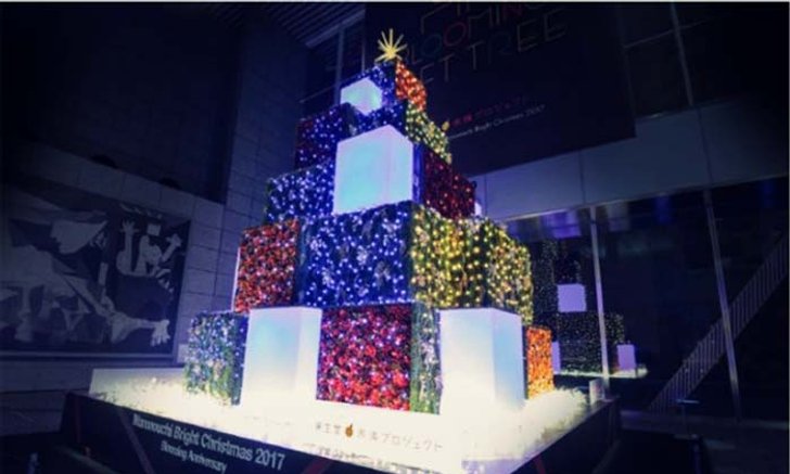 “Blooming Gift Tree” ต้นคริสต์มาสที่เปลี่ยนสีตามการแสดงออกทางสีหน้า!
