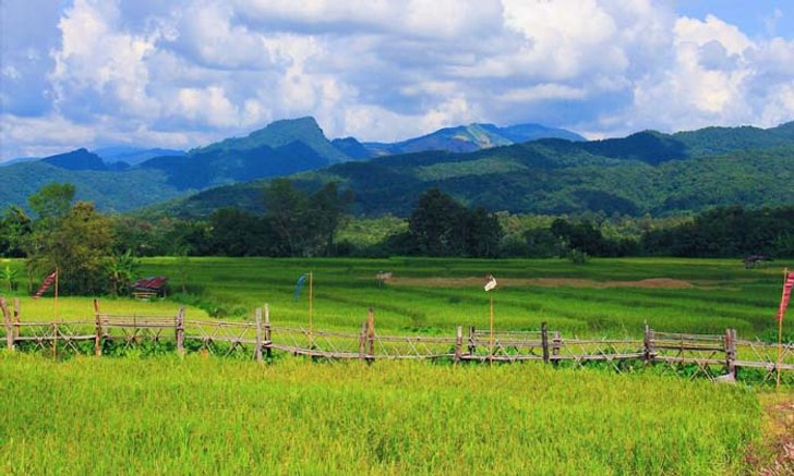พาชมร้านกาแฟที่มีวิวทุ่งนาสวยที่สุดในยุคนี้ "ลำดวนผ้าทอ ร้านกาแฟไทลื้อ"
