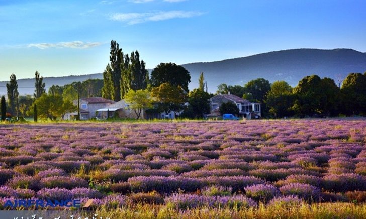 Provence & Paris in summer - โพรว๊องซ์ ปารีส เที่ยวเองได้ง่ายๆไม่ง้อทัวร์ ตอน 2