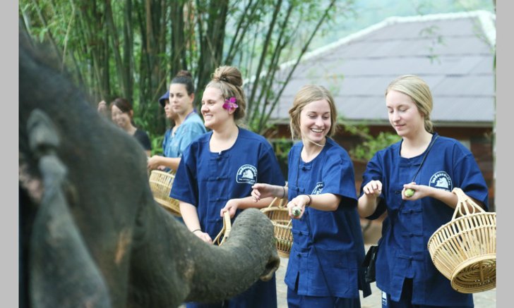 Thai Elephant Home: ท่องเที่ยวเชิงอนุรักษ์กับช้างน้อยสุดน่ารักที่เชียงใหม่