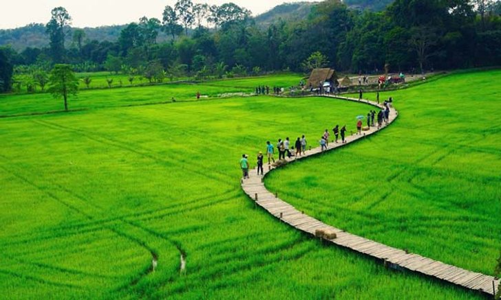 สะพานทุ่งนามุ้ย ที่เที่ยวใหม่วิวทุ่งนาที่มาแรงที่สุดในตอนนี้