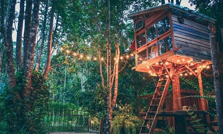 บ้านในหมง บ้านเล็กกลางป่าใหญ่ ที่คุณจะถูกโอบกอดไว้ด้วยธรรมชาติ